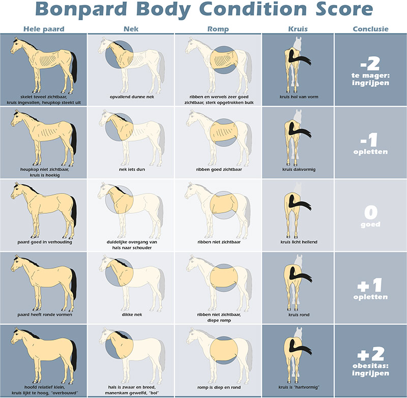 Bonpard Body Condition Score