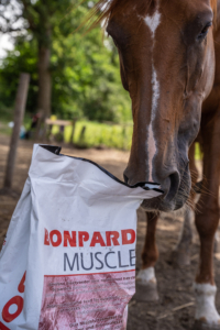 Te mager paard met Bonpard Muscle