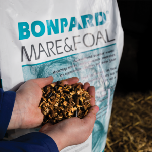 Bonpard Mare & Foal verpakking